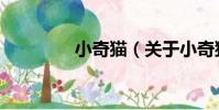 小奇貓(關于小奇貓簡介)