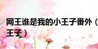 網王誰是我的小王子番外(網王之誰是我的小王子)