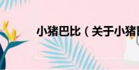 小豬巴比(關于小豬巴比簡介)