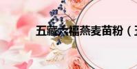 五藏六福燕麥苗粉(五藏六福)