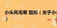 小頭風毛菊 暫擬(關于小頭風毛菊 暫擬簡介)