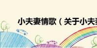 小夫妻情歌(關于小夫妻情歌簡介)