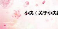 小央(關于小央簡介)