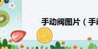 手動閥圖片(手動閥)