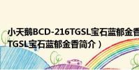 小天鵝BCD-216TGSL寶石藍郁金香(關于小天鵝BCD-216TGSL寶石藍郁金香簡介)