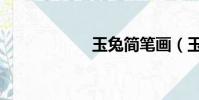 玉兔簡筆畫(玉兔)