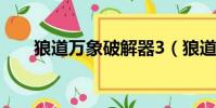 狼道萬象破解器3(狼道萬象破解器)