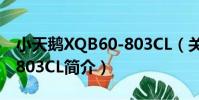 小天鵝XQB60-803CL(關于小天鵝XQB60-803CL簡介)