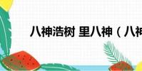 八神浩樹 里八神(八神浩樹漫畫)
