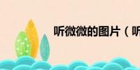 聽微微的圖片(聽微微)