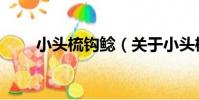 小頭梳鉤鯰(關于小頭梳鉤鯰簡介)