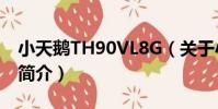 小天鵝TH90VL8G(關于小天鵝TH90VL8G簡介)