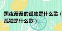 黑夜漫漫的孤獨是什么歌(黑夜漫漫卻漫不過孤獨是什么歌)