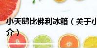 小天鵝比佛利冰箱(關于小天鵝比佛利冰箱簡介)