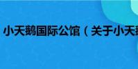 小天鵝國際公館(關于小天鵝國際公館簡介)
