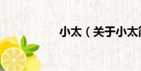 小太(關于小太簡介)