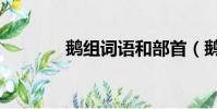 鵝組詞語和部首(鵝組詞語)