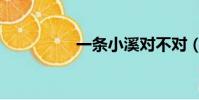 一條小溪對不對(一條)