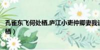 孔雀東飛何處棲,廬江小吏仲卿妻我該怎么回(孔雀東飛何處棲)
