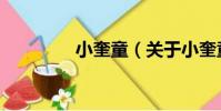 小奎童(關于小奎童簡介)