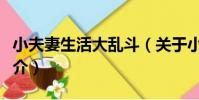 小夫妻生活大亂斗(關于小夫妻生活大亂斗簡介)
