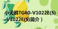 小天鵝TG60-V1022E(S)(關于小天鵝TG60-V1022E(S)簡介)