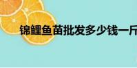 錦鯉魚苗批發多少錢一斤(錦鯉魚苗)