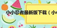 小小忍者最新版下載(小小忍者單機版)