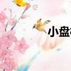 小盤村（關于小盤村簡介）