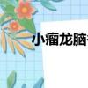小瘤龍腦香（關于小瘤龍腦香簡介）