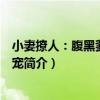 小妻撩人：腹黑爹地深深寵（關于小妻撩人：腹黑爹地深深寵簡介）