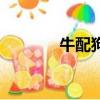 牛配狗一生的命運（牛配狗）