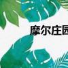 摩爾莊園拉姆樹（摩爾莊園薩諾）