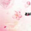 ava外服（ava體驗服）