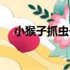 小猴子抓蟲子（關于小猴子抓蟲子簡介）