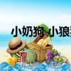 小奶狗 小狼狗（關于小奶狗 小狼狗簡介）