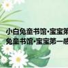 小白兔童書館·寶寶第一感大卡系列：視覺激發卡 適合0-3歲（關于小白兔童書館·寶寶第一感大卡系列：視覺激發卡 適合0-3歲簡介）