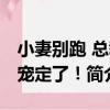 小妻別跑 總裁寵定了！（關于小妻別跑 總裁寵定了！簡介）