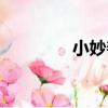 小妙善（關于小妙善簡介）