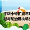 平腹小蜂擴繁與防治荔枝蝽應用技術規程（關于平腹小蜂擴繁與防治荔枝蝽應用技術規程介紹）