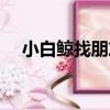 小白鯨找朋友（關于小白鯨找朋友簡介）
