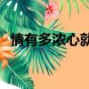 情有多濃心就有多痛是什么歌（qingyou）