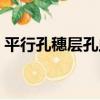 平行孔穗層孔蟲（關于平行孔穗層孔蟲介紹）
