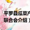 平羅縣瓜菜產銷聯合會（關于平羅縣瓜菜產銷聯合會介紹）