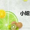 小妞妞（關于小妞妞簡介）