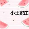 小王家莊村（關于小王家莊村簡介）