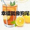 幸福就像狗尾巴（關于幸福就像狗尾巴介紹）