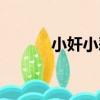 小奸小惡（關于小奸小惡簡介）
