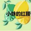小妹的紅腰帶（關于小妹的紅腰帶簡介）