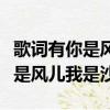 歌詞有你是風兒我是沙（黃奕說生活中沒有你是風兒我是沙）